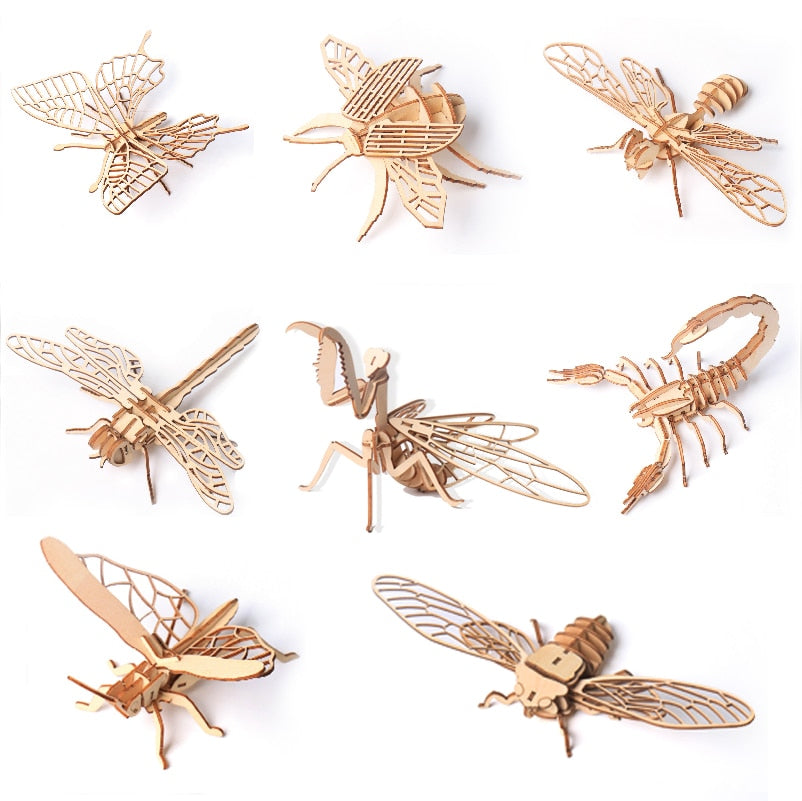 Wooden model puzzle 3D insect