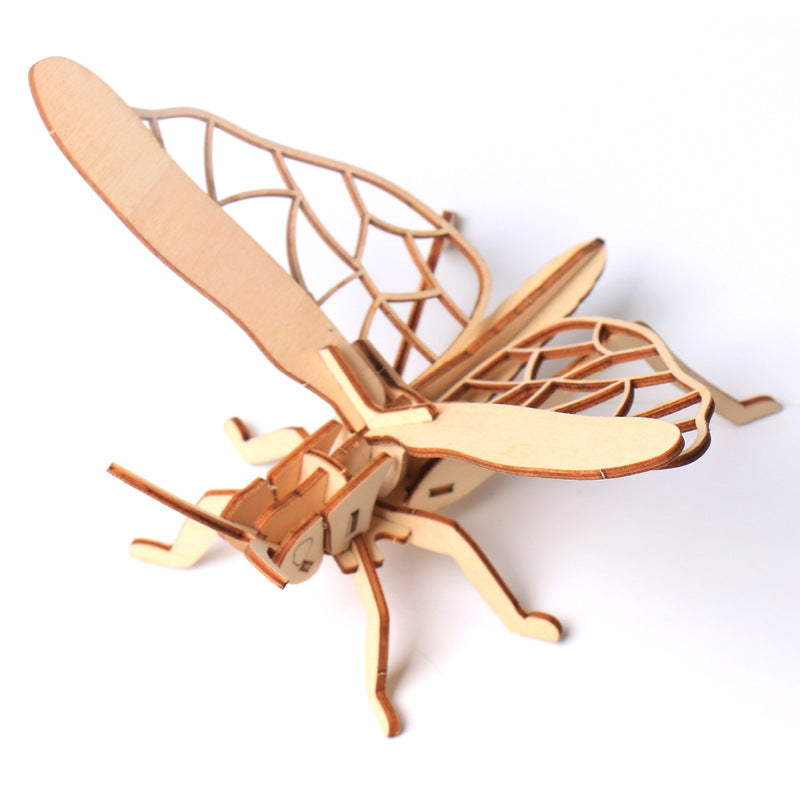 Wooden model puzzle 3D insect