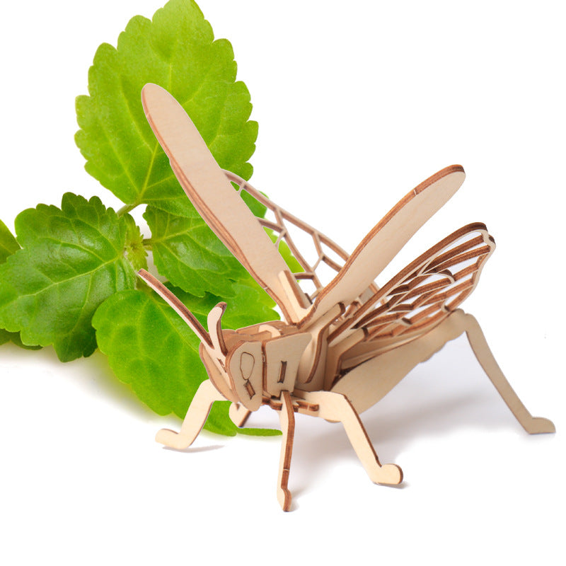 Wooden model puzzle 3D insect