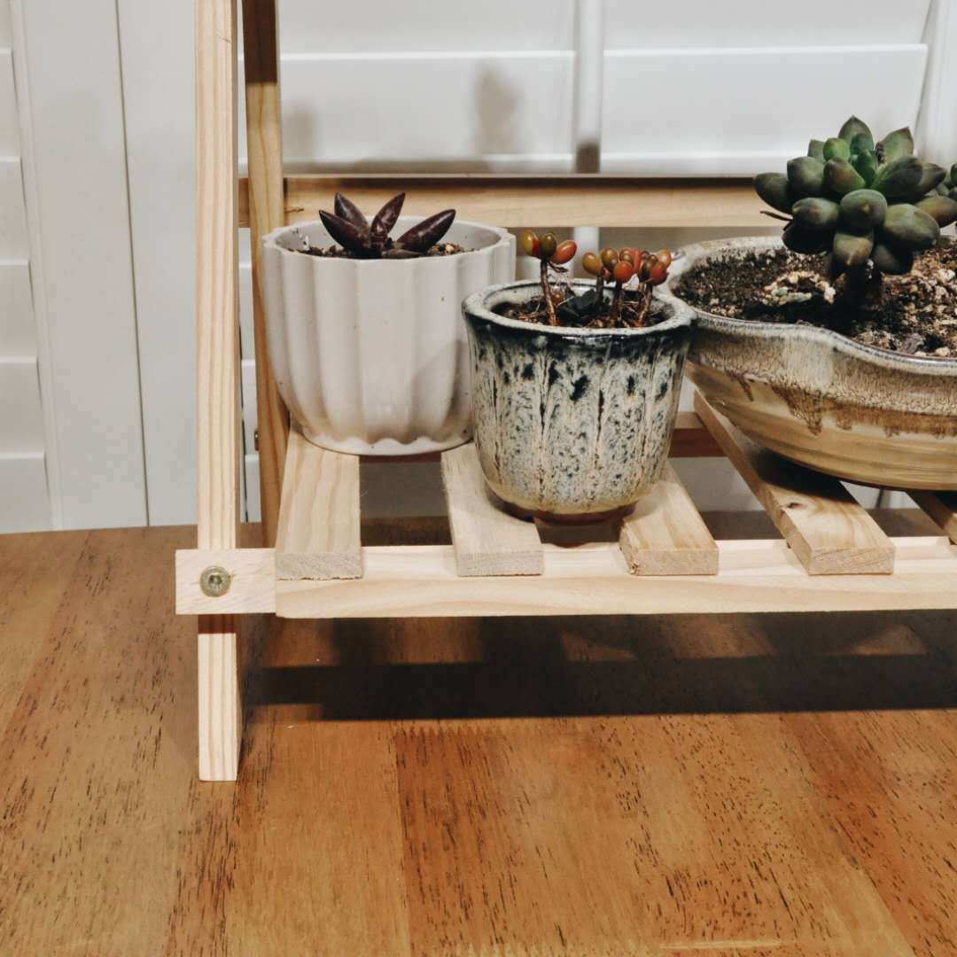 Solid Wood Multi-layer Color Plant Shelf