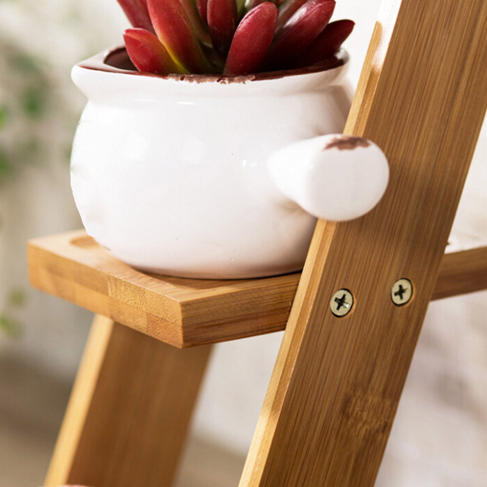 Succulent Potted Solid Wood Bay Window Flower Pot Shelf Storage