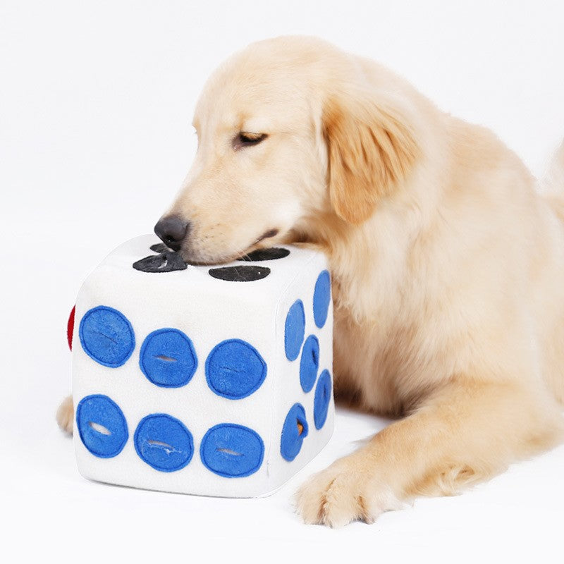 Color dice doll training to play and sniff pets