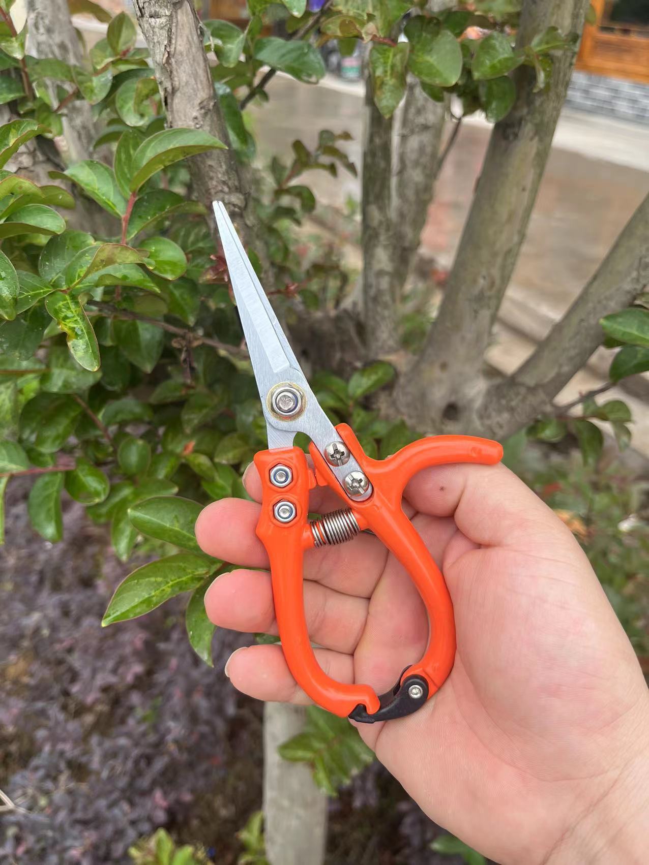 Multifunctional Garden Scissors Pruning Shears Manual With Safety Buckle Stainless Steel Spring Gardening Pruning Shear Branch Plant Cutter