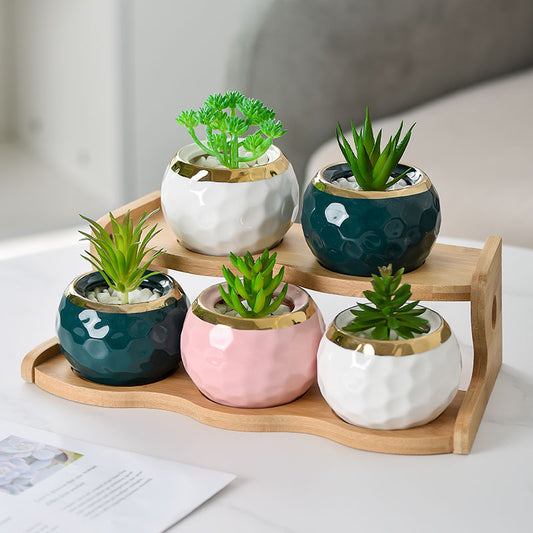 Multi-layer Small Flower Stand Solid Wood Floating Office Green Radish Succulent Flower Pot Shelf