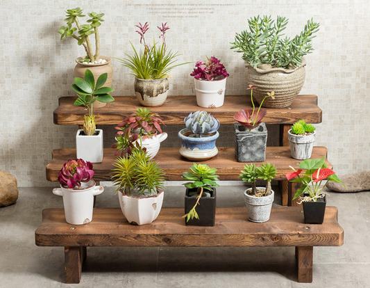 Solid Wood Multi Layer Indoor Floor Succulent Living Room Flower Shelf