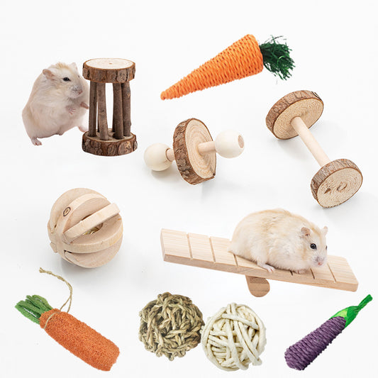 Wooden Pet Toy Hamster Rabbit Guinea Pig Parrot Play Molars Set